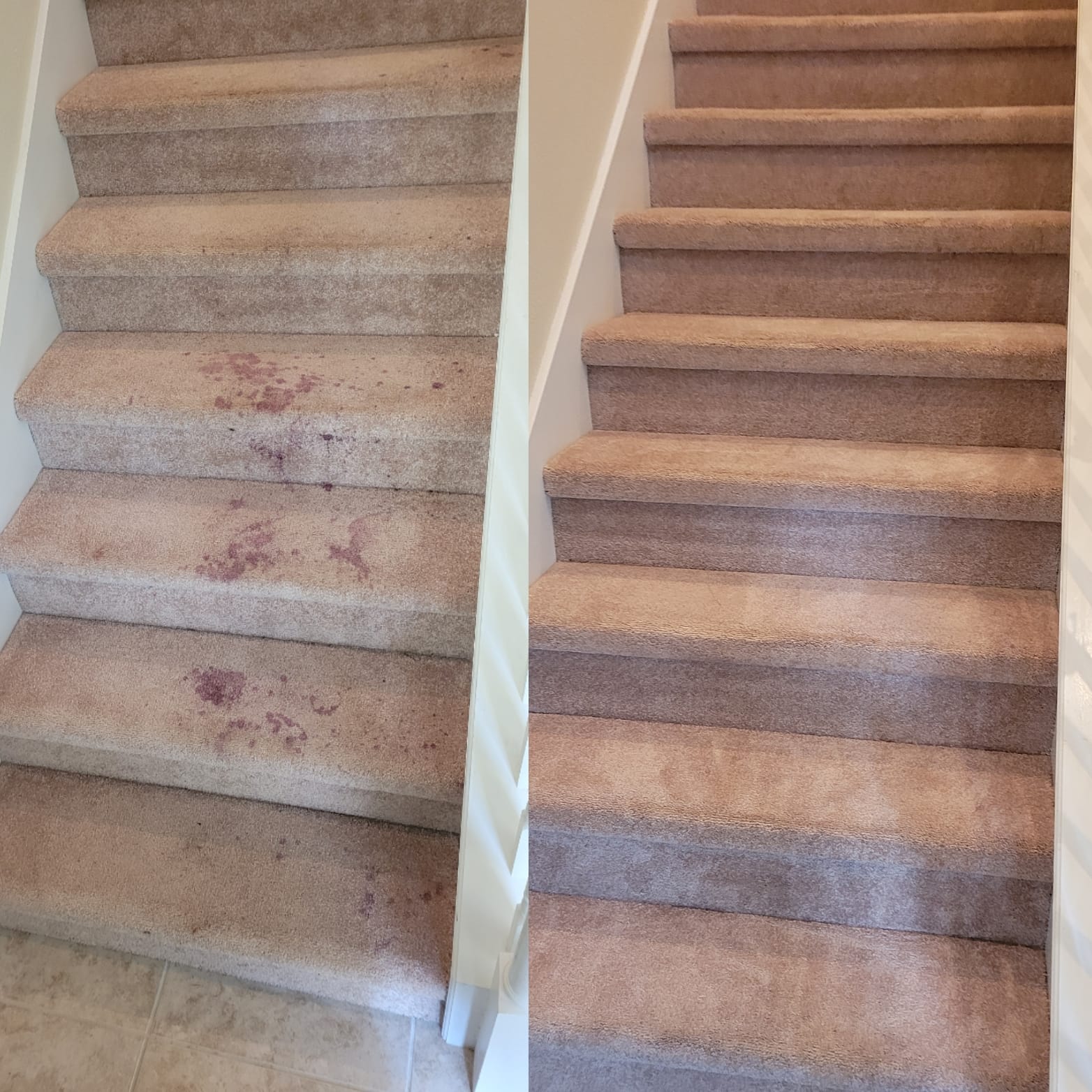 Carpet cleaning before and after - wine stain removal on stairs Calgary